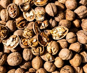 Krzyżacka orzechowa – wyborna nalewka z Torunia