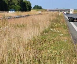 Śmier motocyklisty na A2