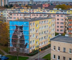 Na ul. Rugiańskiej powstaje mural z kotem Gackiem