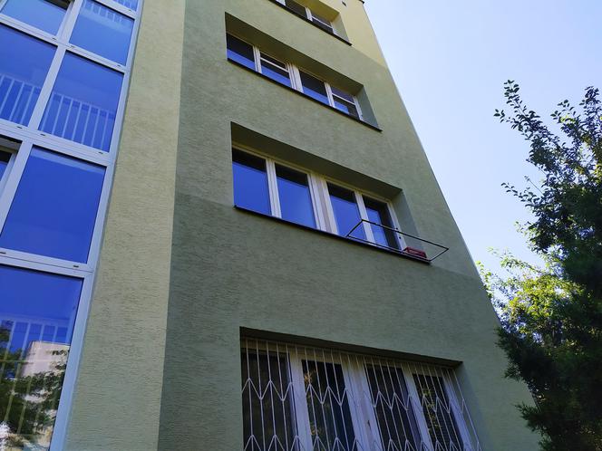 Prusaki na Ursynowie 