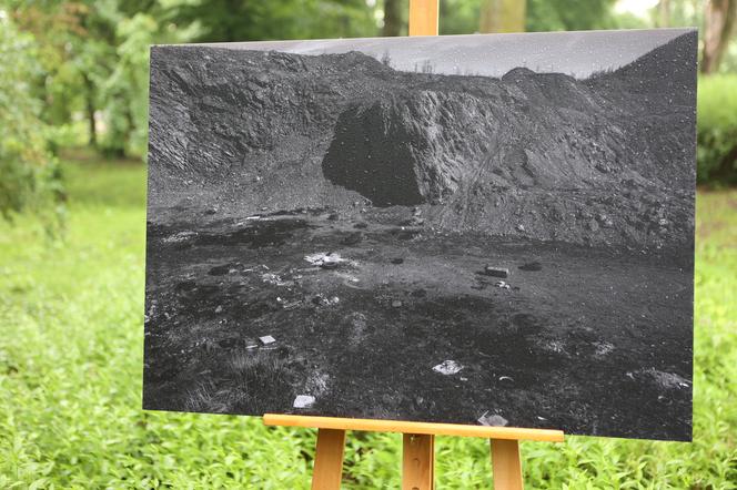 „Zmysły Ogrodu Saskiego” w Lublinie