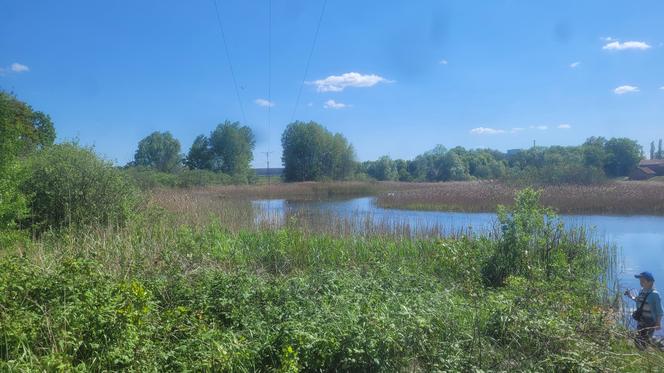 Było, zniknęło i... powróciło. Zobacz magiczne jezioro Track na obrzeżach Olsztyna [ZDJĘCIA]