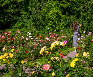 7 najładniejszych ogrodów botanicznych w Polsce. Kiedy je odwiedzić i gdzie są?