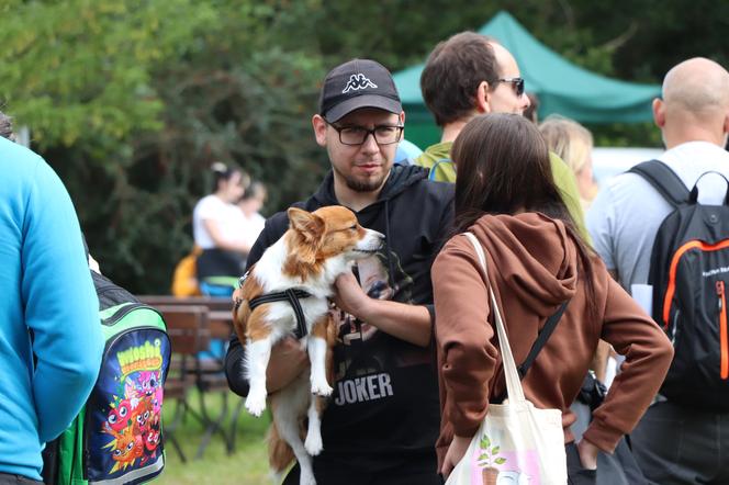 IX Piknik Przyjaciół Schroniska w Toruniu