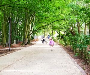 Usterki na Alei Fałata