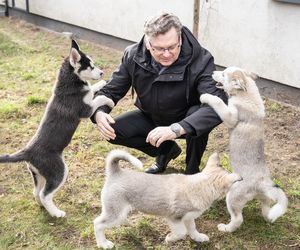  Dzięki programowi nowy dom znalazło ponad 300 piesków