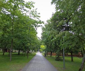 Park miejski w Tomaszowie Lubelskim