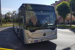 Pierwszy kurs autobusu przegubowego w Grudziądzu