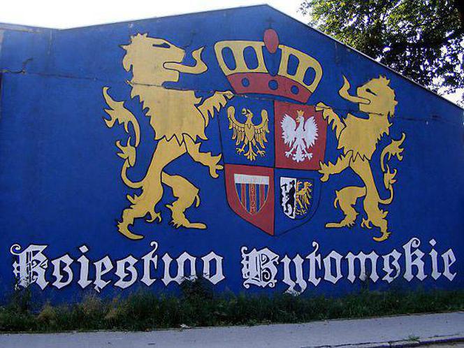 Najładniejsze kibicowskie murale na Śląsku