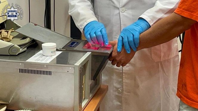 28-latek odkręcił gaz i zabił dwa psy. Jego była partnerka ledwo uszła z życiem!