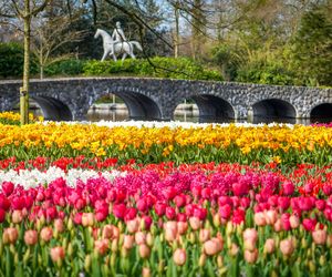 Ogród Keukenhof w Holandii