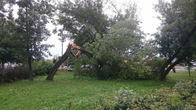 Jedna ofiara śmiertelna po burzach w regionie, duże straty w Radomiu [AKTUALIZACJA]