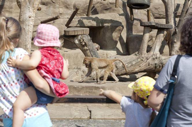 Miejski Ogród Zoologiczny w Warszawie