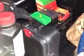 Kłusownicy polowali na jelenie pod Rawą Mazowiecką