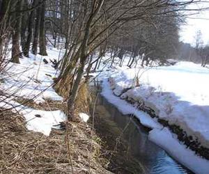 Park Krajobrazowy Wzniesień Łódzkich