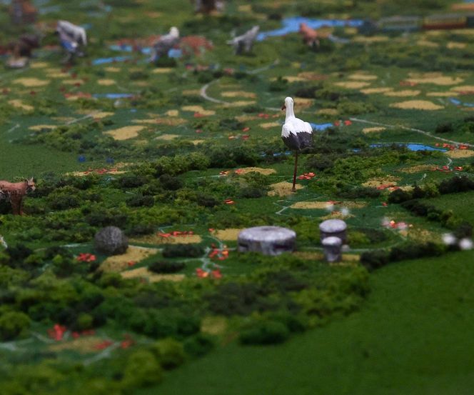 Nowa atrakcja na Mazurach. Dzięki niej poznasz historię i przyrodę regionu