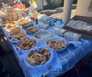 Wszystkich Świętych 2025 w Krakowie