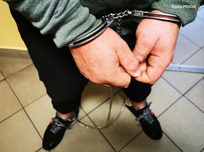 Śląskie: Piękny ogród działkowy krył tajemnicę. Zamiast kwiatów, amfetamina