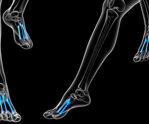 Śródstopie - budowa, choroby, złamania