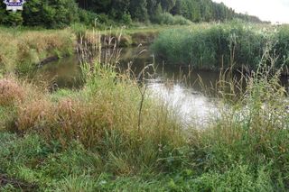 Tragedia w powiecie kraśnickim. W stawie znaleziono ciało 