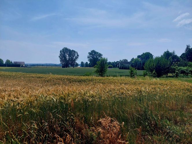 Wykluczenie komunikacyjne, między powiatami bydgoskim i chełmińskim
