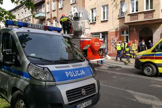 Potrącony pieszy i prawie sto wykroczeń w Grudziądzu. Policjanci wzięli się za piratów drogowych