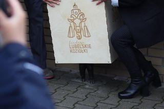 Lublin z kolejnym koziołkiem! 