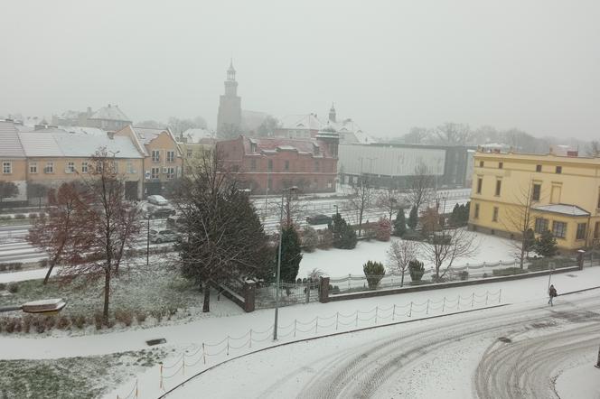 Zima w Lesznie. Dzisiaj od rana pada śnieg. Po raz pierwszy w tym sezonie na drogi wyjechały pługi