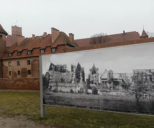 Zamek Krzyżacki w Malborku