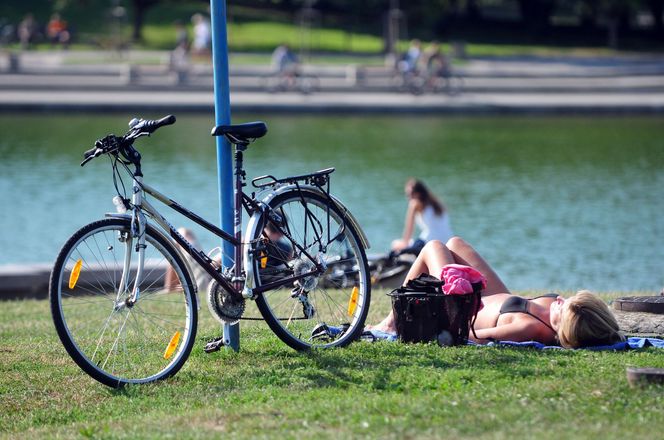 Grill, opalanie się, jazda na rowerze. Sprawdź, w których warszawskich parkach lepiej tego nie robić