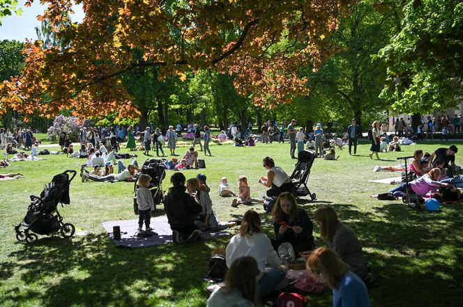 Piknik Europejski w Warszawie - 1 maja 2025