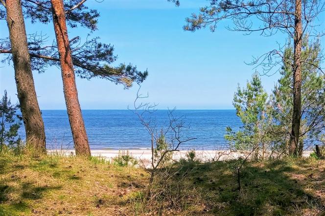 Cena toalety nad Bałtykiem może szokować