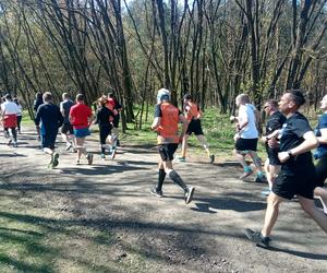 II edycja Bronek Run Forest Edition w Grudziądzu