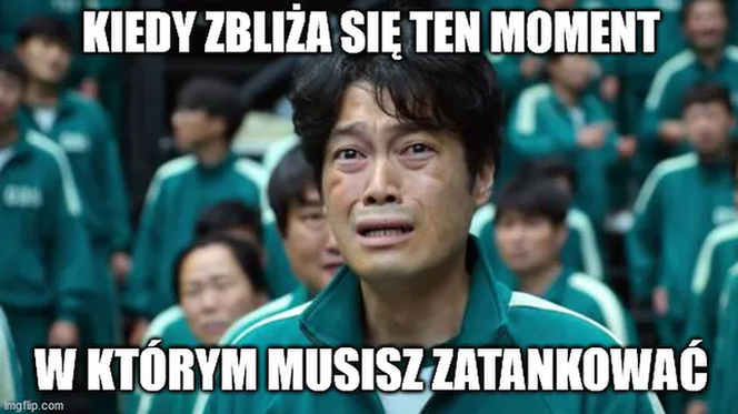 paliwa memy