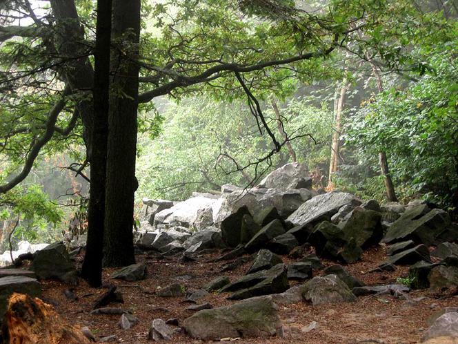 Myślisz, że znasz Góry Świętokrzyskie? Sprawdź się! [QUIZ]