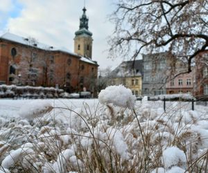 Początek sezonu zimowego w Lesznie - 22 listopada 2024