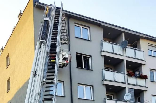 Lubelskie: Pożar kuchni w bloku. Strażacy wynieśli kota z zadymionego mieszkania
