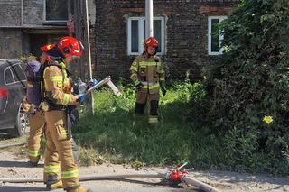  Heroiczna walka strażaków z ogniem. Uratowali psa z płonącego budynku