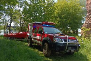 Krowa poszła popływać