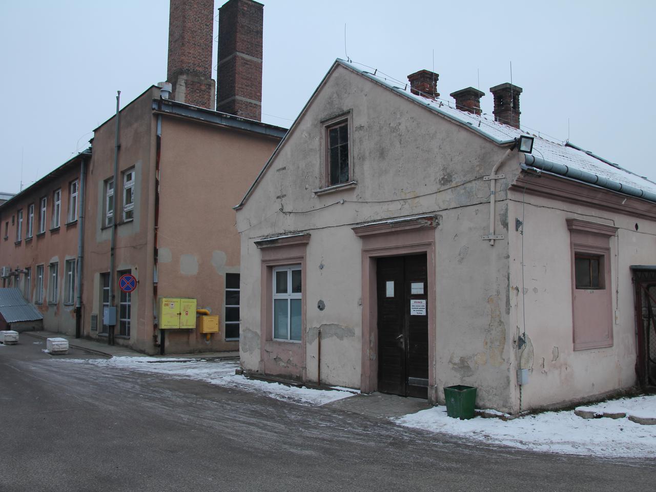 Szczury pożerają zwłoki w kostnicy