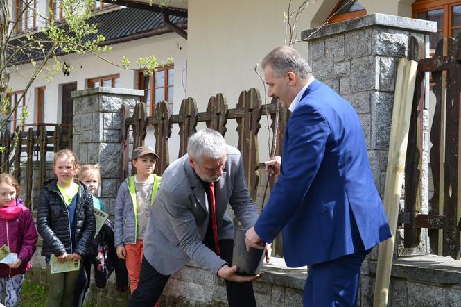 Sadzenie drzew Zakopane