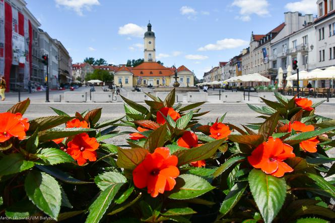 Białystok. Nowe utrudnienia na ulicach miasta [LISTA]