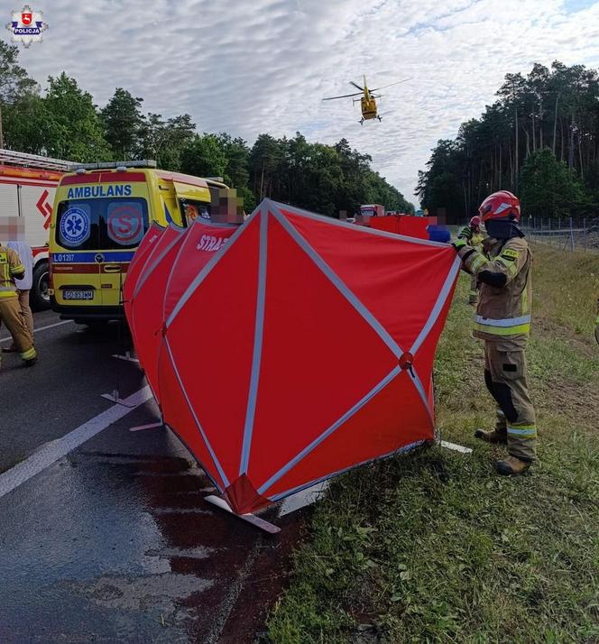 Śmiertelny wypadek na drodze krajowej w Annówce. Czołowe zderzenie dwóch tirów [ZDJĘCIA]