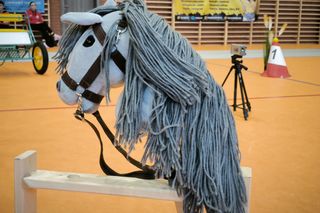 Zawody Hobby Horse w Wilkowicach 