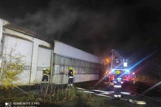 Wielkopolskie/ 12 zastępów straży gasiło pożar hali magazynowej w Obornikach