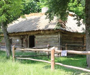 Skansen w Lublinie zachwyca w słoneczny letni dzień!