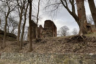 Ruiny zamku w Dobrej