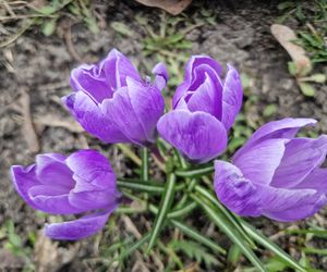 Park Kochanowskiego w Bydgoszczy, czyli serce bydgoskiej Dzielnicy Muzycznej!