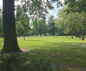 Spacer przez muzyczne serce Bydgoszczy. Park Kochanowskiego zachwyca historią i klimatem