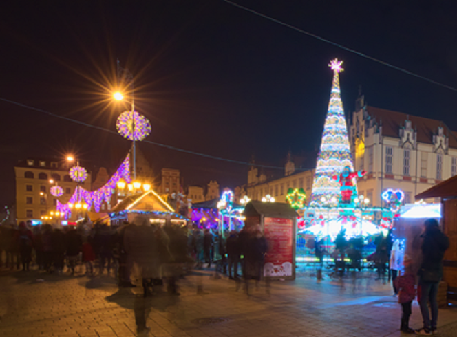 Choinka na wrocławskim rynku